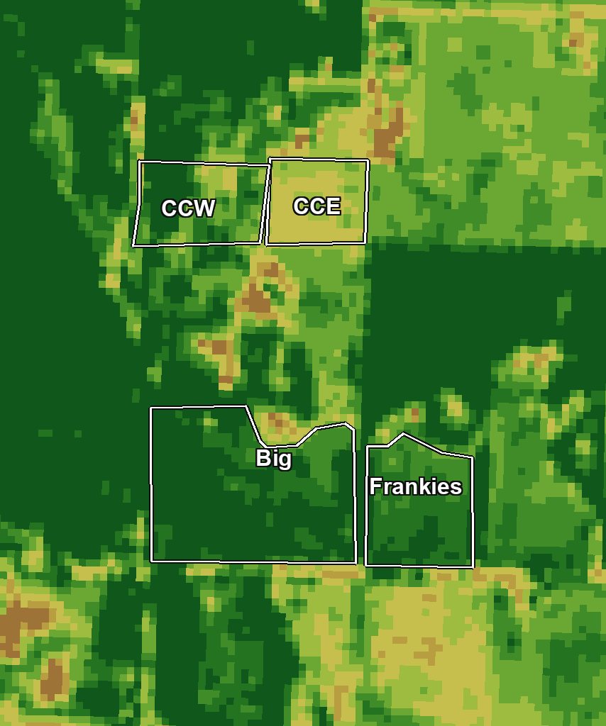 NDVI grass map of the same four outlined paddocks — deep-green paddocks are ready to graze, the pale one (CCE) is recovering